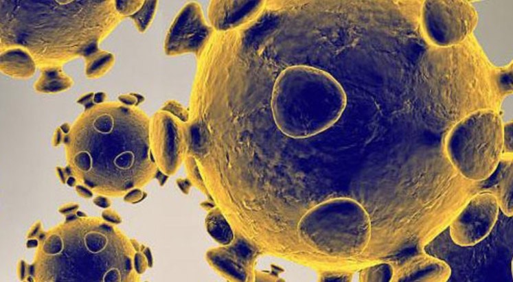 Coronavirus 1